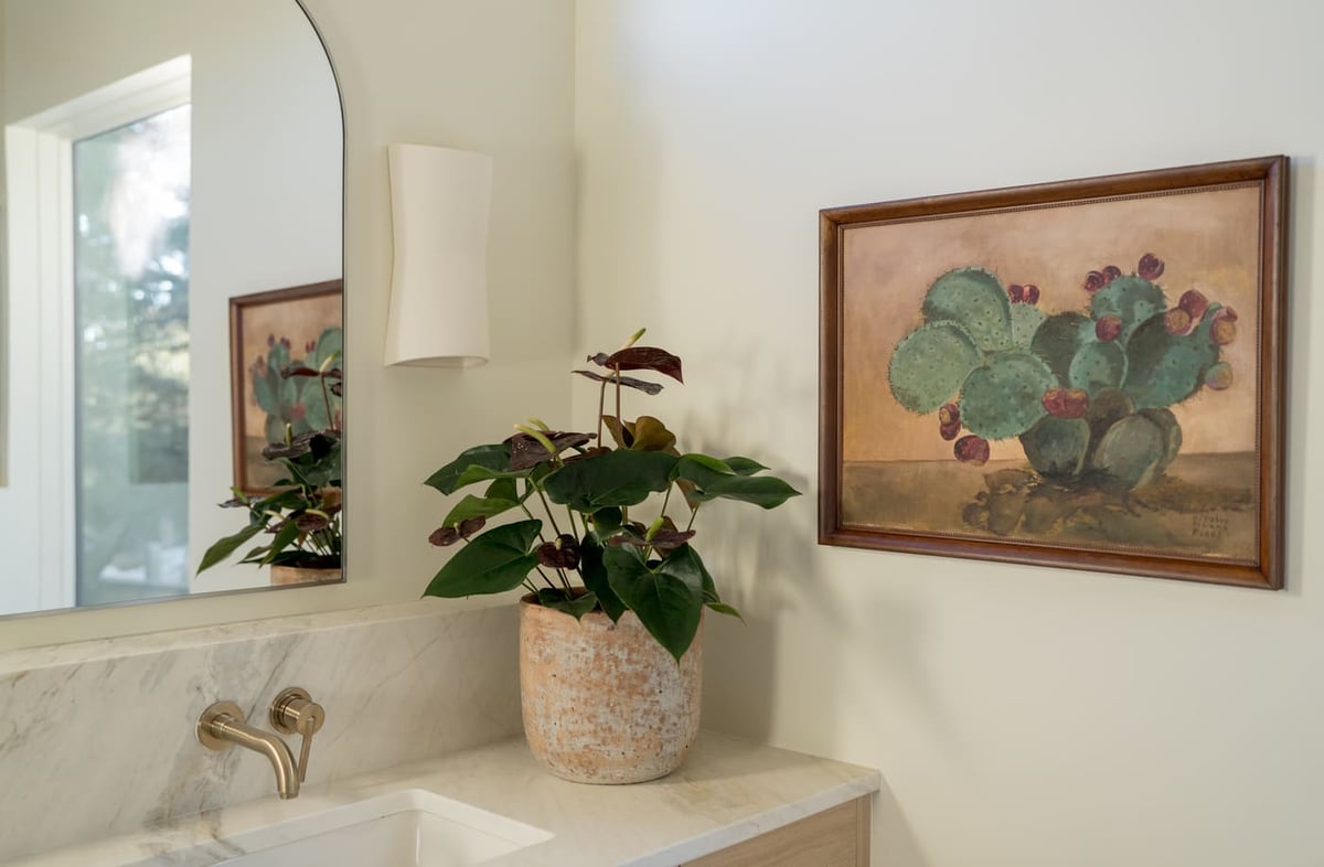 Bathroom vanity with cactus artwork and plant in Arvada, CO pop top renovation by Cillessen Construction
