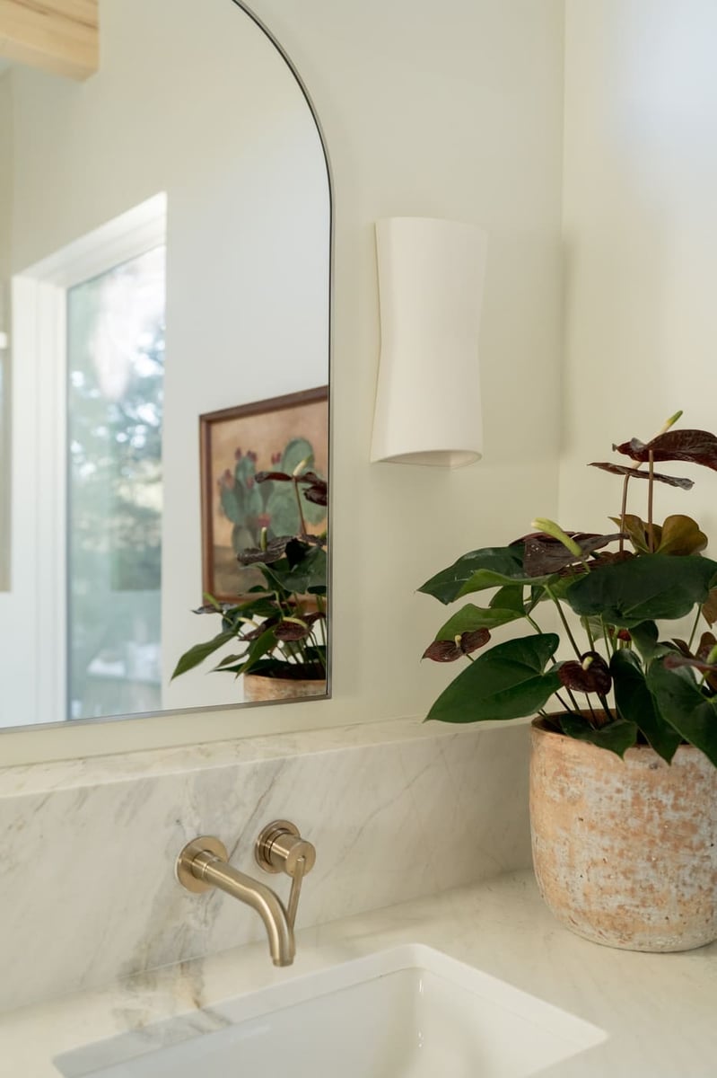 Close-up of bathroom sink, brass faucet, and plant in Arvada, CO pop top renovation by Cillessen Construction