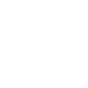 One Icon